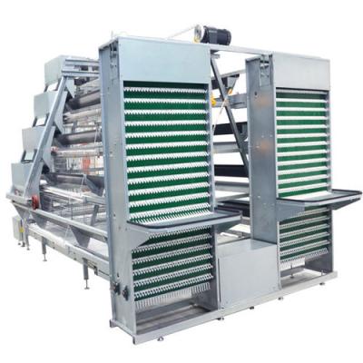 China Cages for layer cages for layers feeding the system for sale