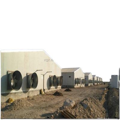 China Chicken Farms Design Industrial Poultry Layer Farm Equipment / Chicken Farms for sale