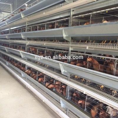 China Easy To Install Prefab Cheap Poultry Chicken Cage Industrial Steel House With Birds Feeding Line for sale