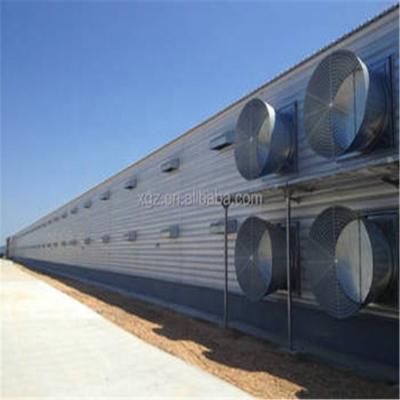 China Farms Structure Broiler Chicken Farm Prefabricated Steel for sale