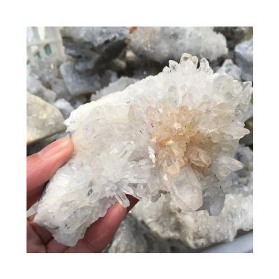 China Wholesale Specimen Europe Natural White Chrysanthemum Quartz Crystal Clear Cluster For Decoration for sale