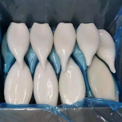 China Low Fat Frozen Squid Tubes Break Up U5 U7 Pack for sale