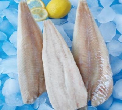 China Low fat hot sale frozen hake girded skinless PBO blindfold for sale