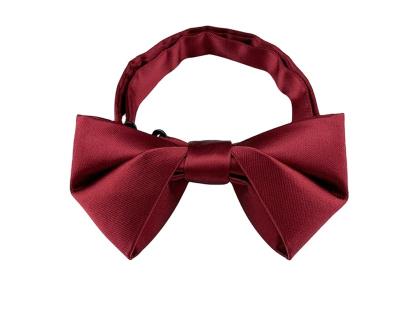 China 2021 Simply Bow Ties Bow Tie/Men's Women's New Arrival Wedding Accessories for sale