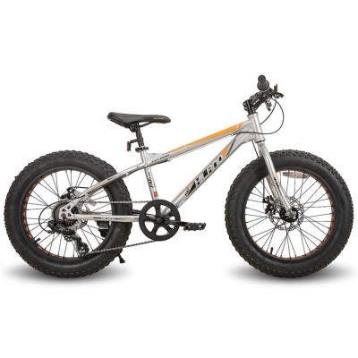 China JOYKIE Wholesale Steel 20 Inch 24 Inch Fat Tire Fat Bike Mountain Bicycle for sale