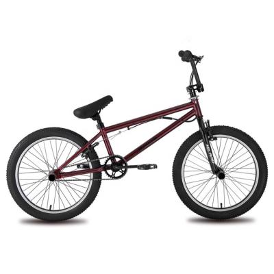 China BMX JOYKIE 20 inch racing bmx bike, off road 20