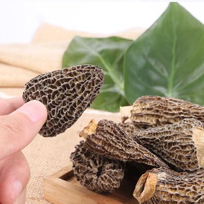 China Best Quality Bulk Wild Mushroom Wholesale Dried Nightshade Dried Nightshade for sale