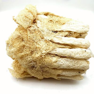 China Dry Selected Natural Phallus Impudicus Dried Bamboo Mushroom and ZhuSun for sale