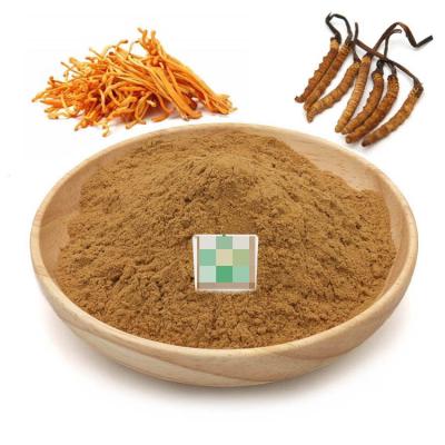 China Health Food Fruiterco Supply 100% Pure Cordyceps Militaris Extract Powder for sale