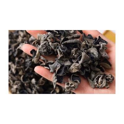 China Popular Hot Selling Dried High Quality Processing Type Raw Edible Black Mushroom For Food for sale