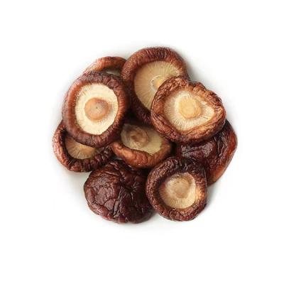 China Manufacturer Direct Sale Drying Process FD Professional Shiitake Mushroom Dried for sale