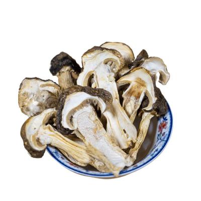 China Hot Selling Dry Professional Low Price Brown Cultivated Curing Type Raw Tricholoma Matsutake for sale