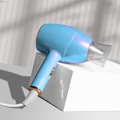 China Ionic Hot Sale Wholesale Price 1200W Powerful Negative Ions Care Hair Professional Hair Dryer for Salon for sale