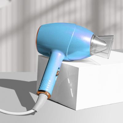 China Ionic Compact Travelling Hair Dryer The Best Professional Portable Blower Anion Hair Dryer Care Hair For Salon Family for sale