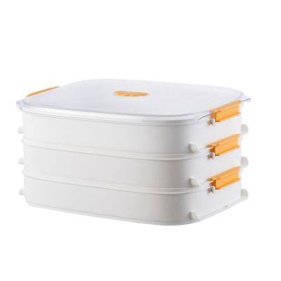 China Viable Airtight Kitchen Storage Container Refrigerator Food Stay Cool Packing Dumpling Box for sale