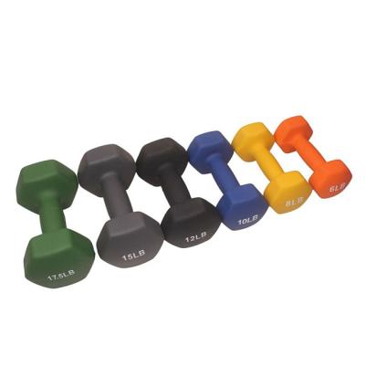 China Hot Selling 0.5-10kg Solid Construction Black Cast Iron/Neoprene & Vinyl Rubber Dumbbell For Gym Fitness for sale