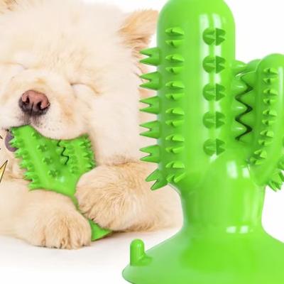 China Stocked Natural Rubber Dog Tooth Chew Cactus Toothbrush Stick Environmental Friendly Cleaning Toy for sale