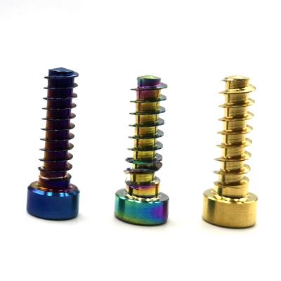 China Hot Selling Strong Hardness Customized Bright Color Forge Titanium Alloy Titanium Screws Motorcycle For Car for sale