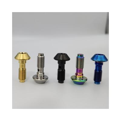 China ISO/CE Even Nice Color Customized Titanium Alloy Screws for sale