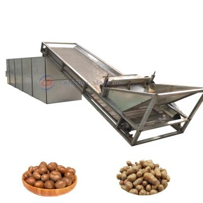 China Medicine Processing Yam Bean Drying Machine Bean Dehydrator Mesh Belt Dryer China Manufacture for sale