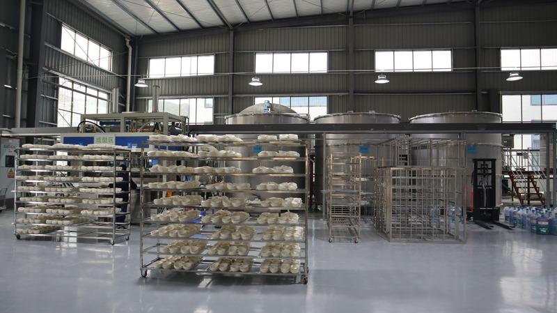 Verified China supplier - Green Olive Environmental Technology (Dongguan) Co., Ltd.