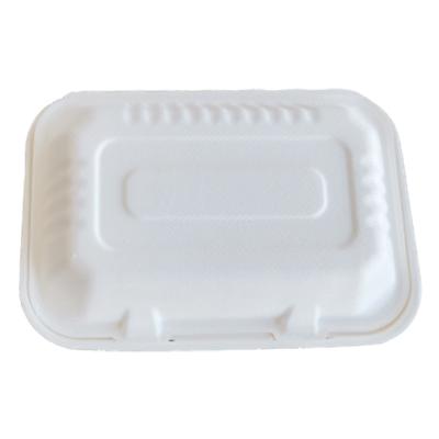 China 9*6 Inch Non-Toxic Compostable Clamshell Eco Friendly Disposable Take Out Container for sale