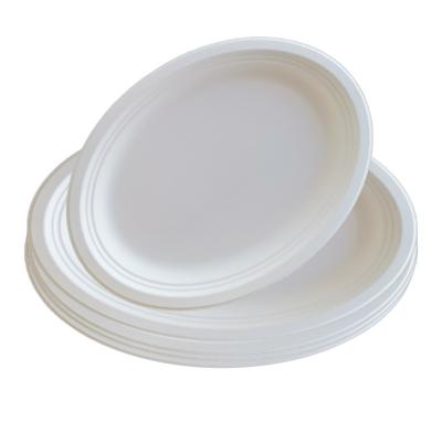 China 2021 Wholesale Disposable Water And Oil Proof Sugar Cane Oval Plates 10 Inch Compostable Paper Pulp Wedding Dishes Tableware for sale