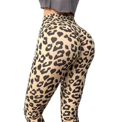 China High Waist Yoga Pants Breathable Leopard Fitness Butt Lifting Running Gaiters Sports Pants For Women for sale