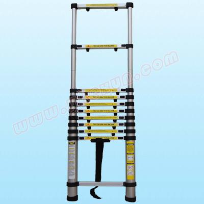 China Folding Ladders Vertical Motorized Ladder For Sale for sale