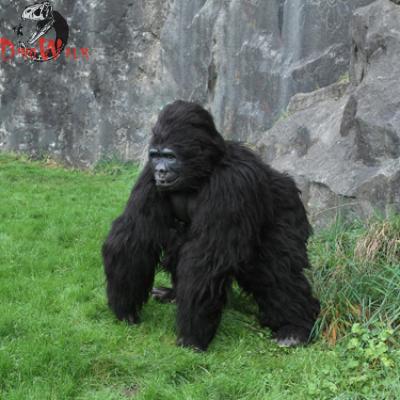 China Life Size Realistic Interactive Theme Park Gorilla Costume For Sale for sale