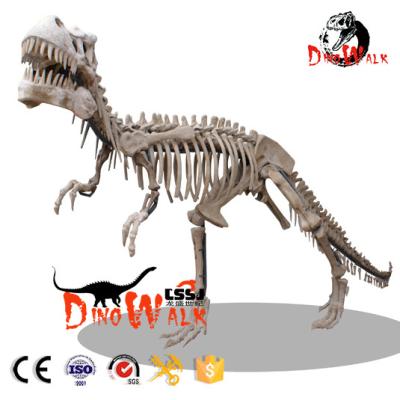 China Exhibits in the exterior & Dino0265 Dinosaur King Fossil Replica Dinosaur Head Indoor Fossil for sale