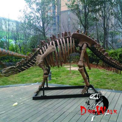 China Exhibits in the exterior & Dino0196 indoor plastic realistic allosaurus skeletal fossil, stegosaurus dinosaur skeletal fossil for sale for sale