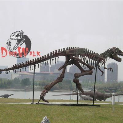 China Waterproof Handcrafted Skeleton Fiberglass Dinosaur Museum Simulation Fossil Statue for sale