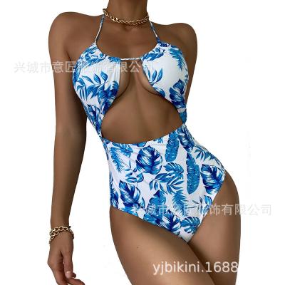 China One-piece 2021 American one-piece foreign trade swimsuit Breifs swimwear women's swimwear dropshipping border swimwear for sale