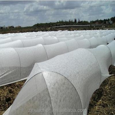 China Anti-bacteria 17-50gsm 100%PP Nonwoven Fabric Roll For Floating Row Cover Garden Row Cover for sale