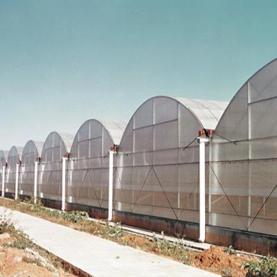 China Stable Span Tunnel Agricultural Structure Skyplant Greenhouse Export Single Dome Film Greenhouse for sale