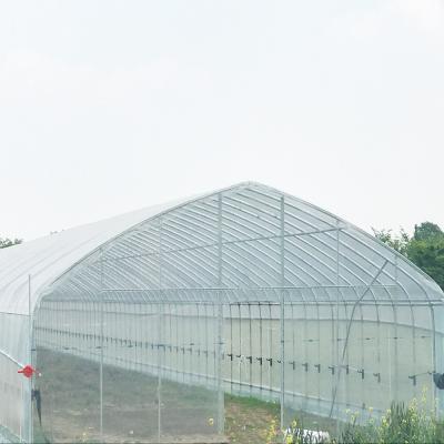 China Big Greenhouse Skyplant Plastic Agricultural PE Flim Hot Selling for sale