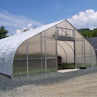 China Skyplant High Easily Assembled And Economical Large Size Tunnel Agricultural Greenhouse For Tomato for sale