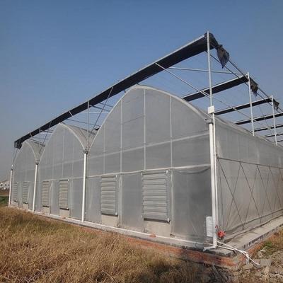 China Stable Structure Skyplant Greenhouse For Vegetables Multi-span Tunel Garden Greenhouse for sale