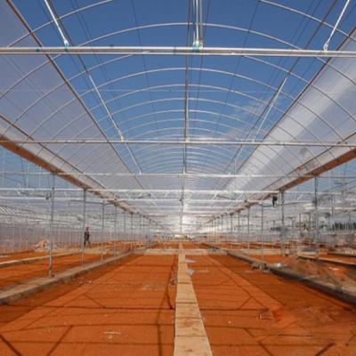 China Planting Vegetables Skyplant Multi-span Greenhouses Single Layer Greenhouse With PC Sheet for sale