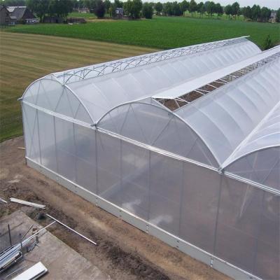 China Skyplant Anti Aging Agriculture PE Film Vegetables Greenhouse With Cooling System for sale