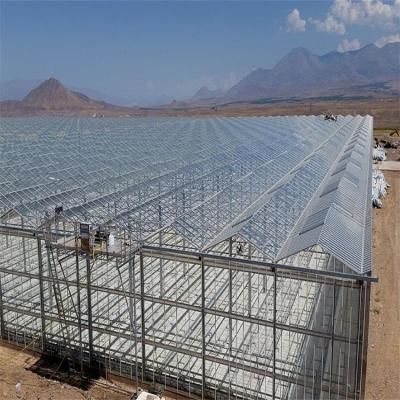 China China Venlo Stable Structure Multi Span Agriculture Hydroponic Glass Greenhouse For Vegetables/Flowers/Tomato/Farm/Garden for sale