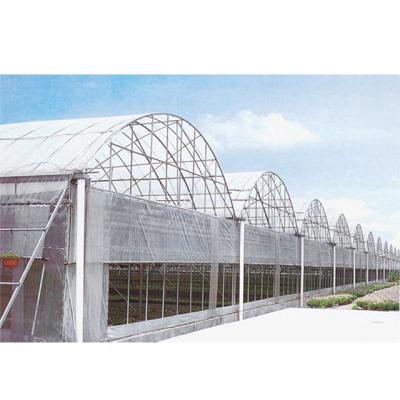 China High Quality Multi Span PC Insulation System Low Cost High Strength Multi Panel Greenhouse (Polycarbonate) for sale