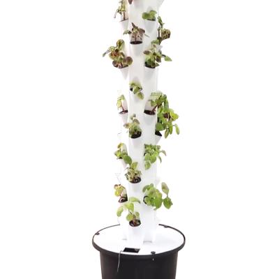 China Skyplant Tower Modern Indoor Vertical Garden Aeroponic System Hydroponics Tower Skyplant Hydroponic System for sale