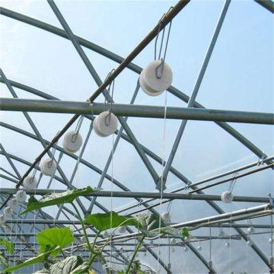 China Vegetables Tomato Roll Hanging Hook With Tomato Clip Greenhouse Accessory for sale