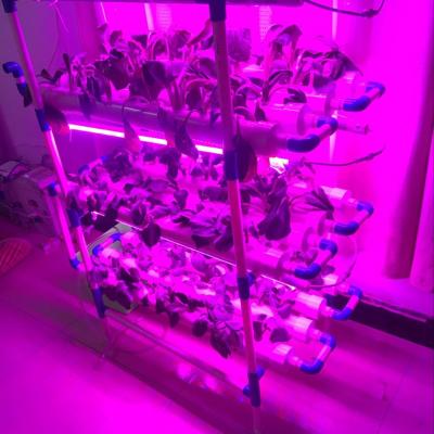 China Home 12 Pipes NFT Indoor PVC Hydroponics Kit With Led Light Growing System for sale