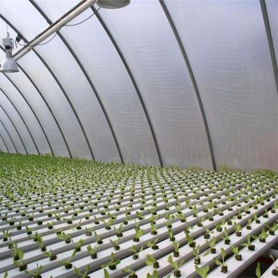 China Grow Vegetables Greenhouse Agricultural Flat Hydroponics Commercial Hydroponics for sale