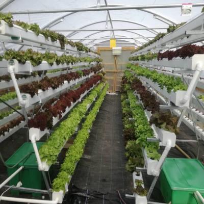 China PVC-U Type A Tower Hydroponics System For Greenhouse Agriculture for sale