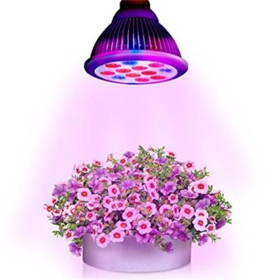 China Plant Growth Led Grow Light E27 Led Plant Lamps Grow Par Light For Flower Plants for sale