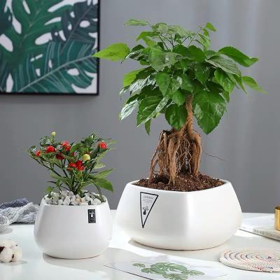 China Minimalist Durable Using Indoor Low Price Wholesalers Factory Ceramic Pots For Outdoor Flowerpot for sale